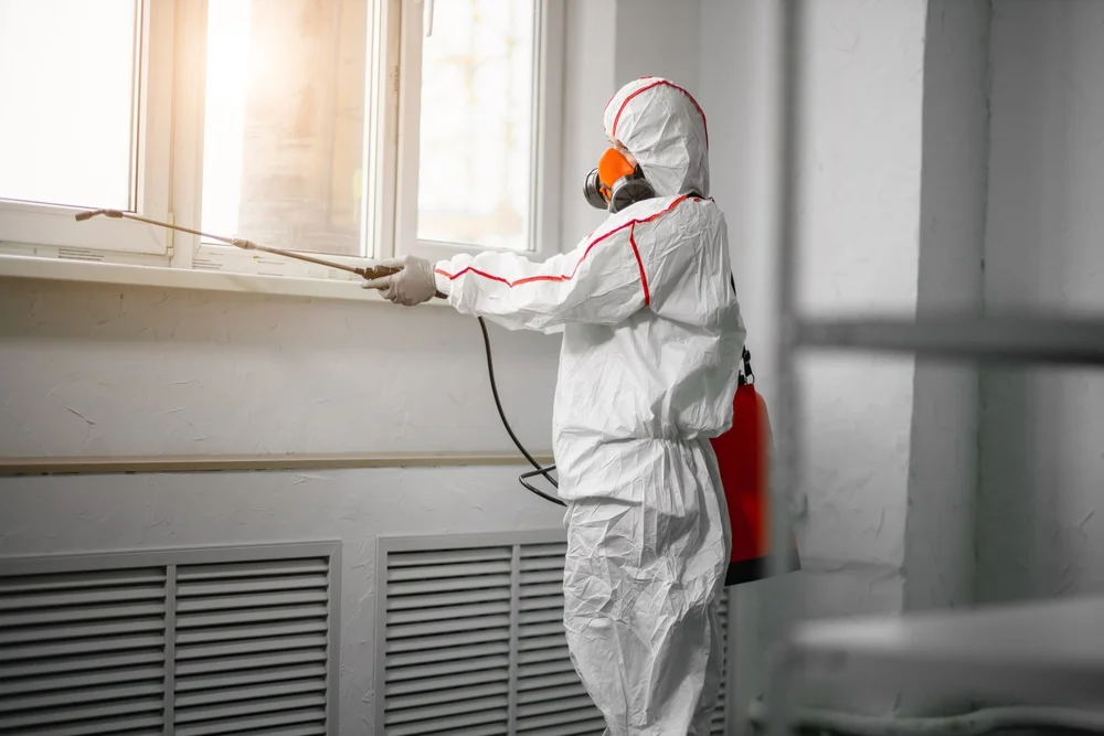 Professional mold remediation services in Bridgeport, MI